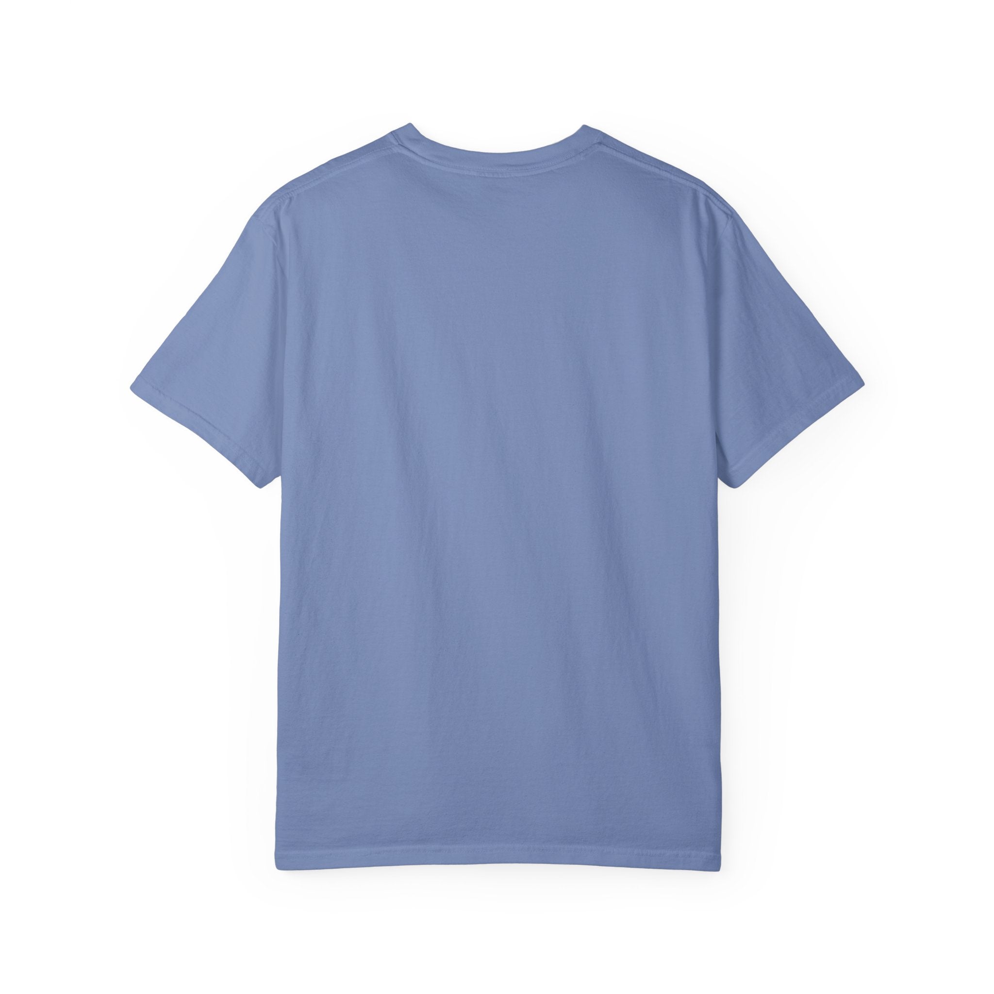 Pelican with Beanie T-Shirt — Ocean Life Graphic Tshirt