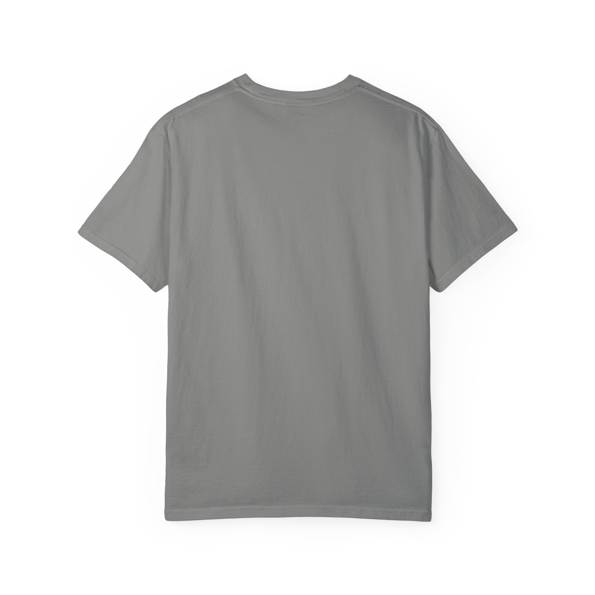 Pelican with Beanie T-Shirt — Ocean Life Graphic Tshirt