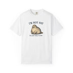 Funny Seal Graphic T-Shirt — "I’m Not Fat, I’m Just Easy to See" Casual Tshirt